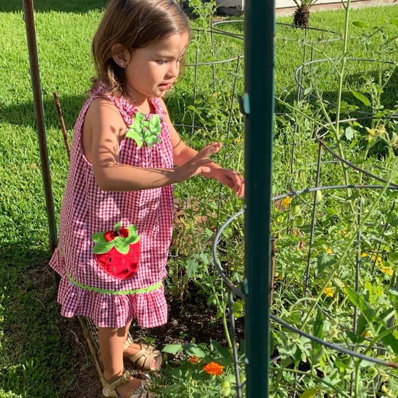 Strawberry 🍓 Dress Size 4T Girls Summer - Picture 2 of 4